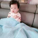 시온청과 이미지