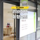 리바이브 체형교정