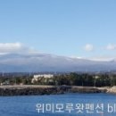 위미모루왓