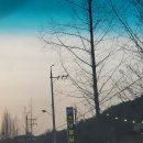 내동면시민텃밭 | [초당골 진주점] 진주내동맛집 생갈비맛집 양념갈비맛집