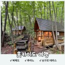 설국일식 | [일본 홋카이도] 북해도 7월 여름 후라노 "닝구르테라스" 여행