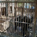 고선농장 이미지