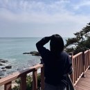 중앙로62번길 | 해운대 블루라인파크 시간표 해변열차 가격 예약 후기 부산 스카이캡슐 코스