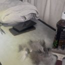 향기롭개 네이버블로그