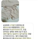 세탁박사 이미지