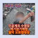 인공 + 자연 | 월악오토캠핑장 후기｜자연계곡+인공계곡 수영장, 메기잡기까지! 아이들이 난리난 이유