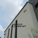 뉴화이트