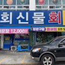회신물회 이미지