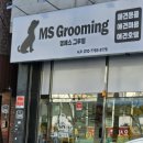 엠에스그루밍 이미지