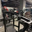 포커스 펜듈럼스쿼트/CNK브이스쿼트/개선 사레레/매드 체스트/해머 레터럴로우(카피)/울트라 멀티레이즈/옥타곤 로우로우/렉스코 랫풀롱풀 이미지