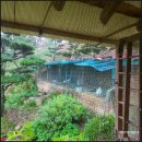 용궁다원 이미지