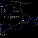 머리자리 Daum카페