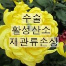 <4월 28일 에서 5월 4일 > 카카오 스토리 연재내용 이미지