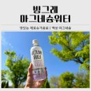티에프티 | 무설탕 제로음료 추천｜빙그레 건강티에프티 마그네슘워터 후기