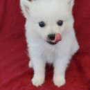 몽글몽글 이미지