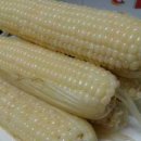 에버그린농장 이미지