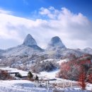 주)하나허니문여행사주 이미지