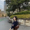 Gray29 | [소비기록] 베뉴엣 Benuet 25FW 1차 드롭 폰즈가디건 노르니트 코티지스커트 무이자켓 29cm 예약구매
