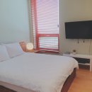 스테이인 우도 이미지