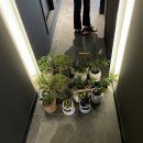 모노크롬커피바(MONOCHROMECOFFEEBAR) 이미지