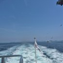 다이소 도동점 | 통영 욕지도 1박2일 여름휴가(배편, 도동펜션, 도동해변)