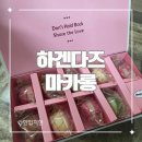 하겐다즈 - 서초구 서초대로38길 12 | 하겐다즈 마카롱 선물세트 후기 (아이스크림 마카롱 9개입)