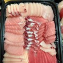 참치만나라