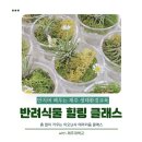 제주대학교 사라캠퍼스 | 반려식물로 진행한 제주 생태 환경교육, 만족도가 높았던 3가지 이유 !