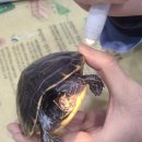 뉴월드 동물병원 이미지