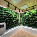 지엔브이 이미지