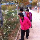 안나목장 이미지