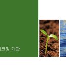 디스토밍