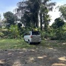 토람 | 발리 우붓 가볼만한곳 폭포 몽키포레스트 왕궁 등 여행 후기