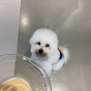 멍설유치원 이미지
