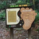 황토와소나무 | 계족산 황톳길 대전, 맨발로 걷는 황토길 힐링의 시간