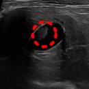 다솜동물메디컬센터 금정점 이미지
