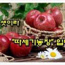 삼봉산사과영농법인
