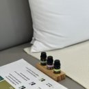 바디싸인 이미지