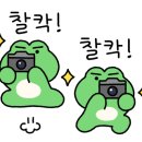 달님민박 이미지