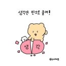 아나파 이미지