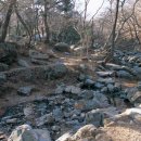 학암포 버스 종점 | 한국의 지질노두 - 금정산 백악기 화강암 암괴류
