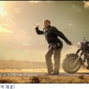 하루헛개