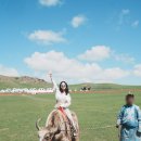 밍크플라이