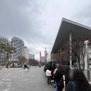 주정차단속-107 | 성심당 빵 추천 내돈내산 후기 , 성심당DCC빵추천 , 성심당DCC딸기시루 ,성심당주말웨이팅정보