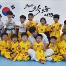 국가대표차오름태권도 - 안양시 만안구 안양로 399 | 국가대표차오름태권도