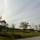 누나홀닭야당점 | 10월 마지막주 나의 일상(10월 28일은 내생일🥳,메가주일산 사전 무료 등록)