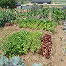 수민농장 이미지