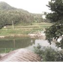 백운천계곡 이미지