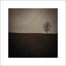 봄의언덕 이미지