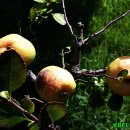 열린자리 이미지